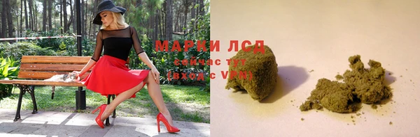 молекула духа Богородицк