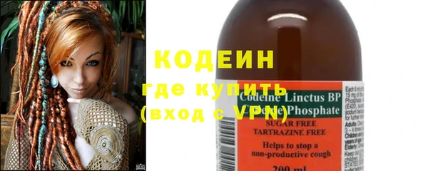 молекула духа Богородицк