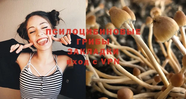 Альфа ПВП Богородск