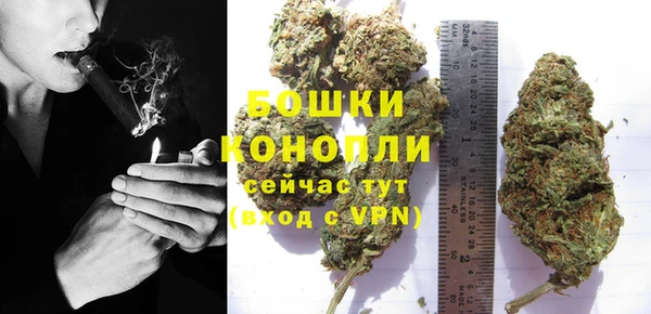 молекула духа Богородицк
