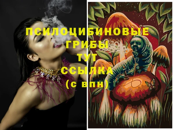 гашик Беломорск