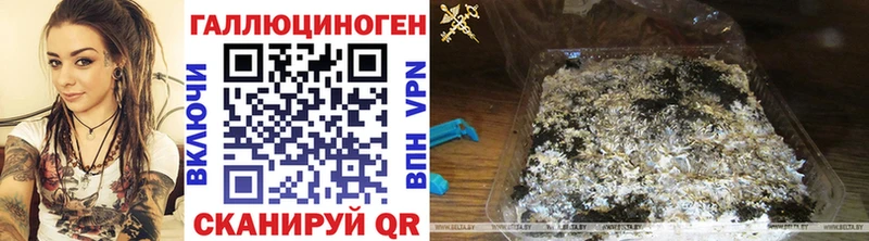 где купить наркотик  Озёрск  Псилоцибиновые грибы MAGIC MUSHROOMS 