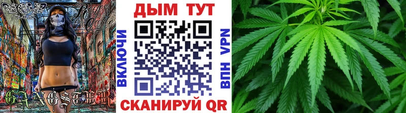 Бошки марихуана THC 21%  купить наркоту  Озёрск 